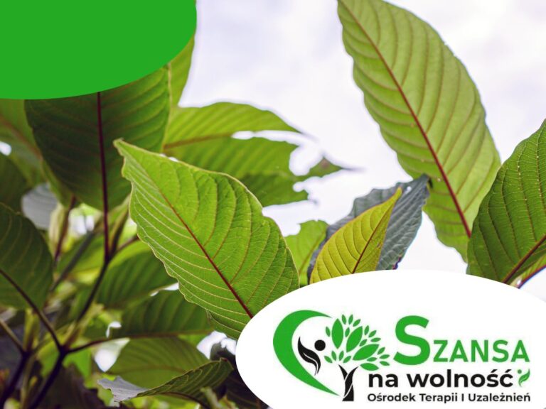 uzależnienie od kratomu