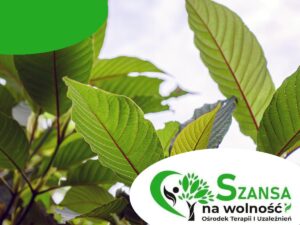uzależnienie od kratomu